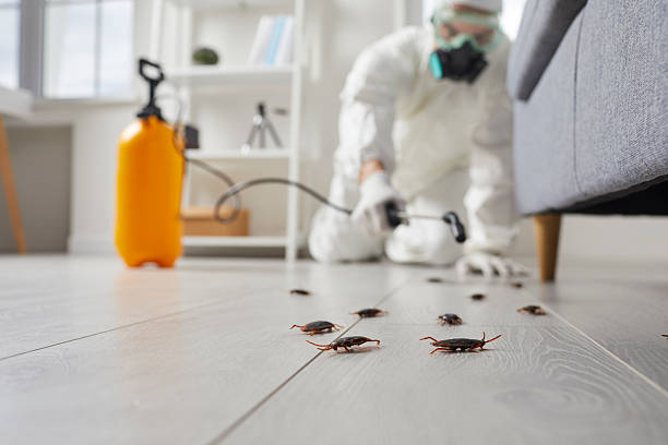Commercial Rodent Management in Twisp